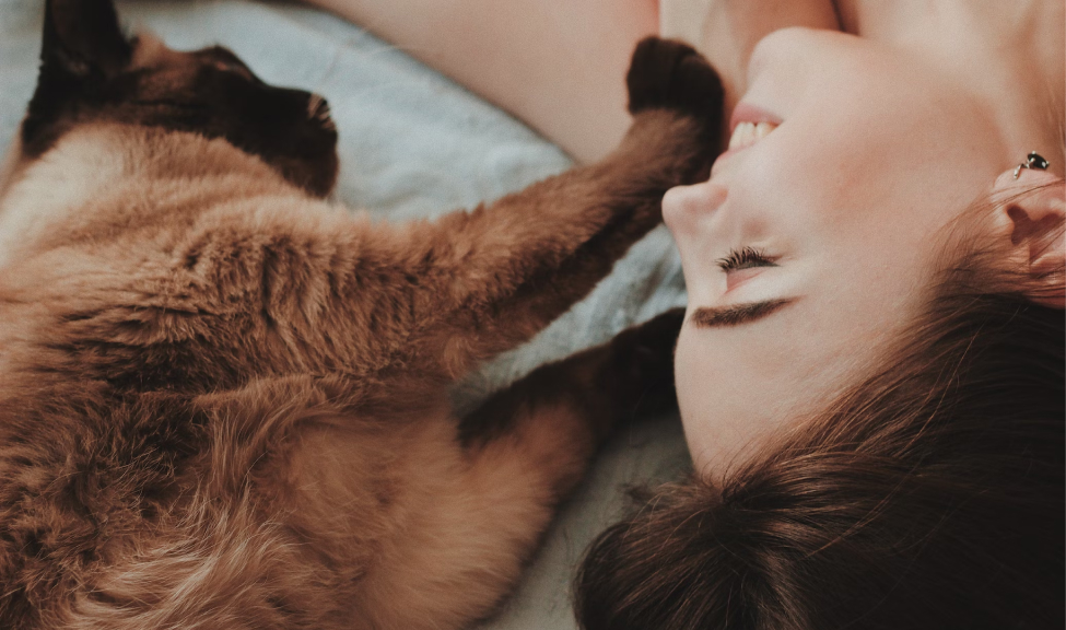 Imagem de uma mulher deitada em uma cama ao lado de um gato de pelos castanhos