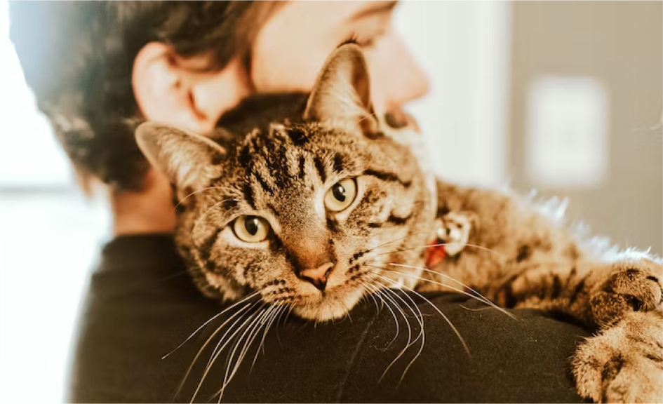 Imagem de um homem abraçado em um gato