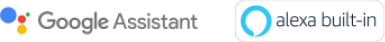 google-alexa