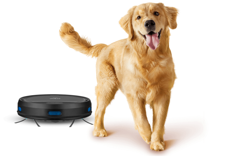 Imagem de um cachorro e ao fundo o Robô Aspirador R1300 Multi