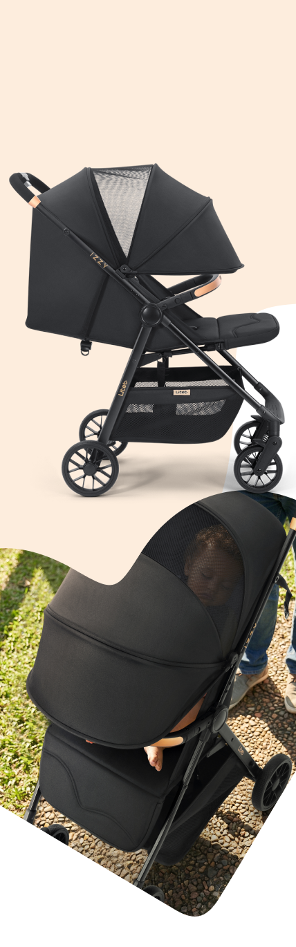 Pai passeando com bebê no parque