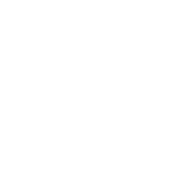 Ícone Segurança i-Size