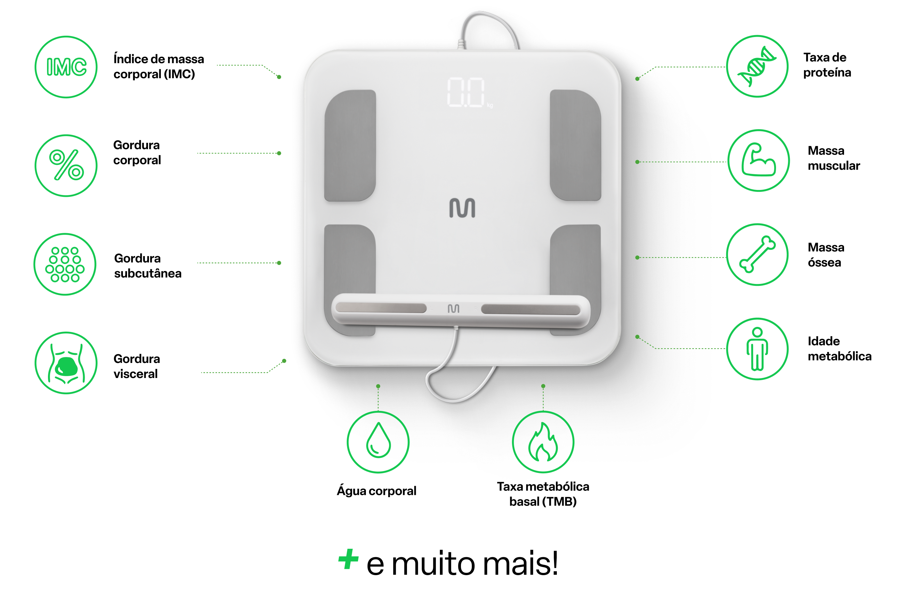 Os 14 indicadores corporais medidos pela balança Bio Health Pro