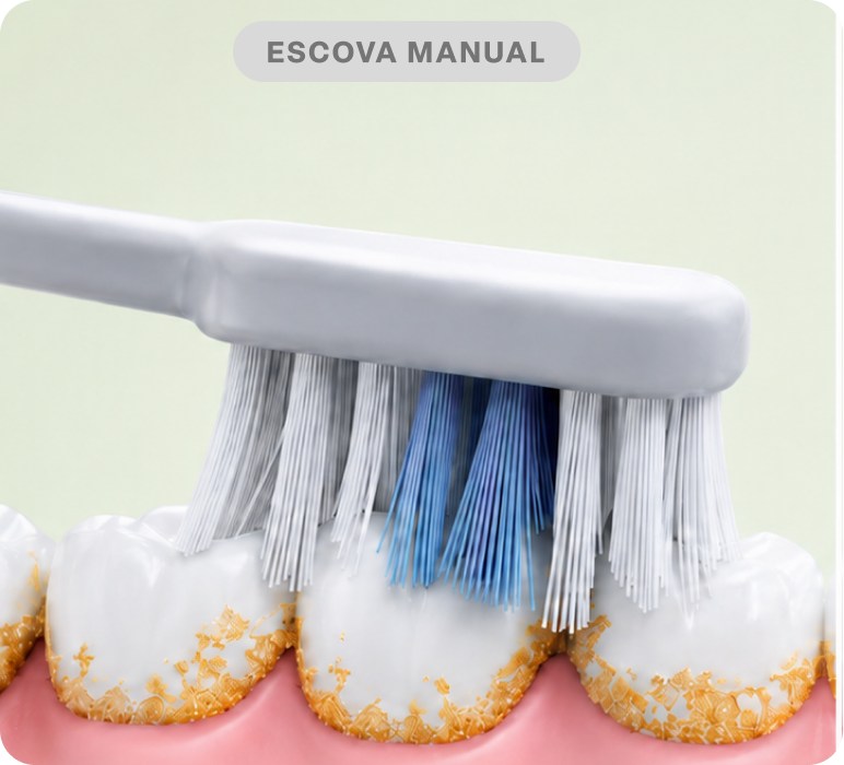 Escova manual