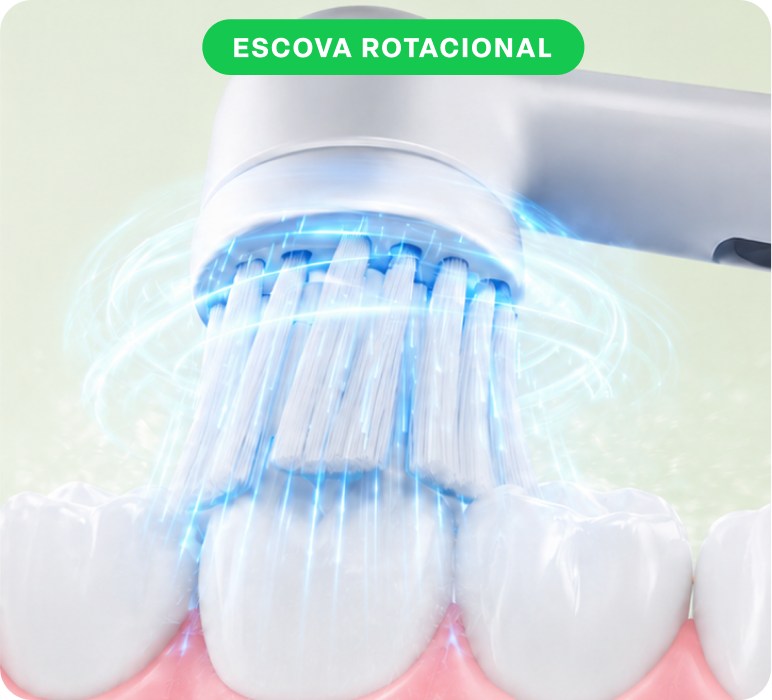Escova rotacional