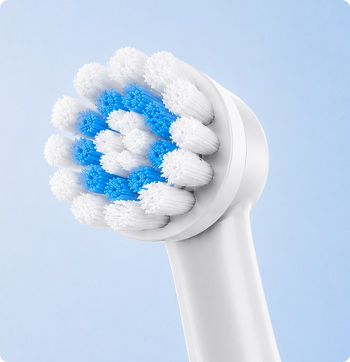 Cabeça circular da escova elétrica em detalhe